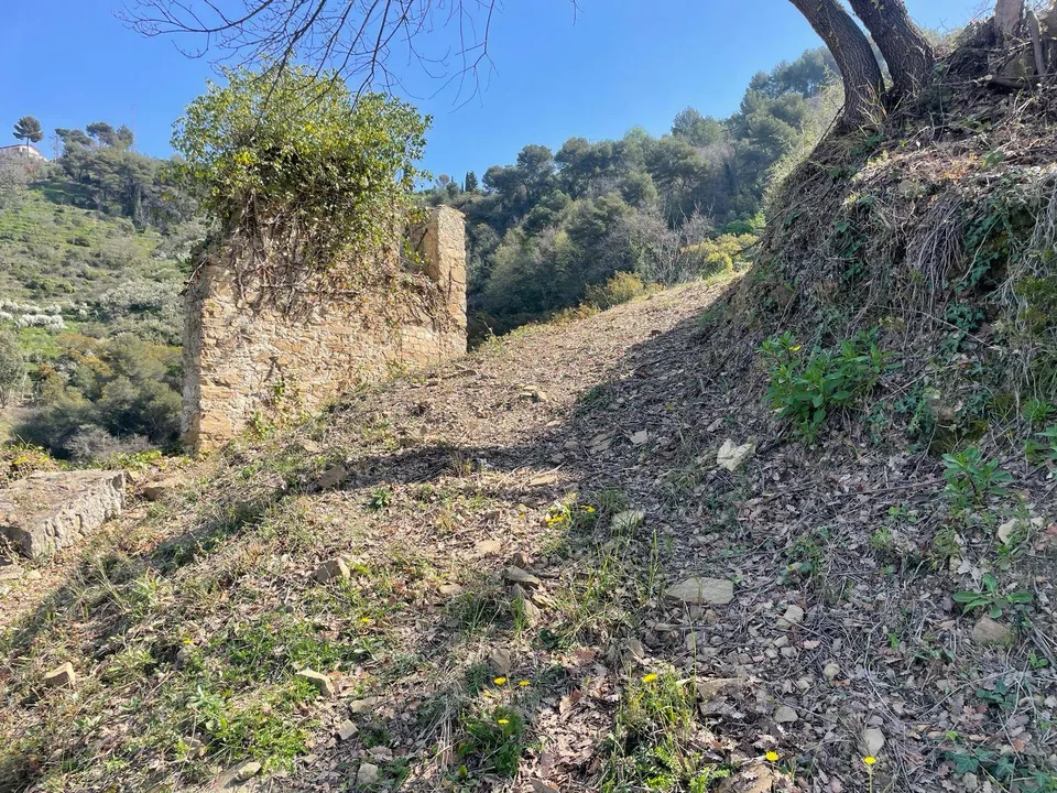 Helårsgrund i San Biagio della Cima, Imperia - foto 1
