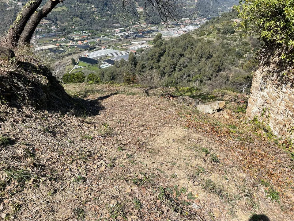 Helårsgrund i San Biagio della Cima, Imperia - foto 3