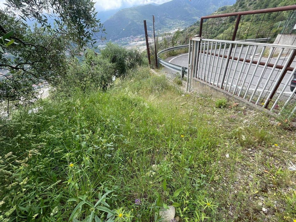Tomt i Camporosso, Imperia - bilde 4