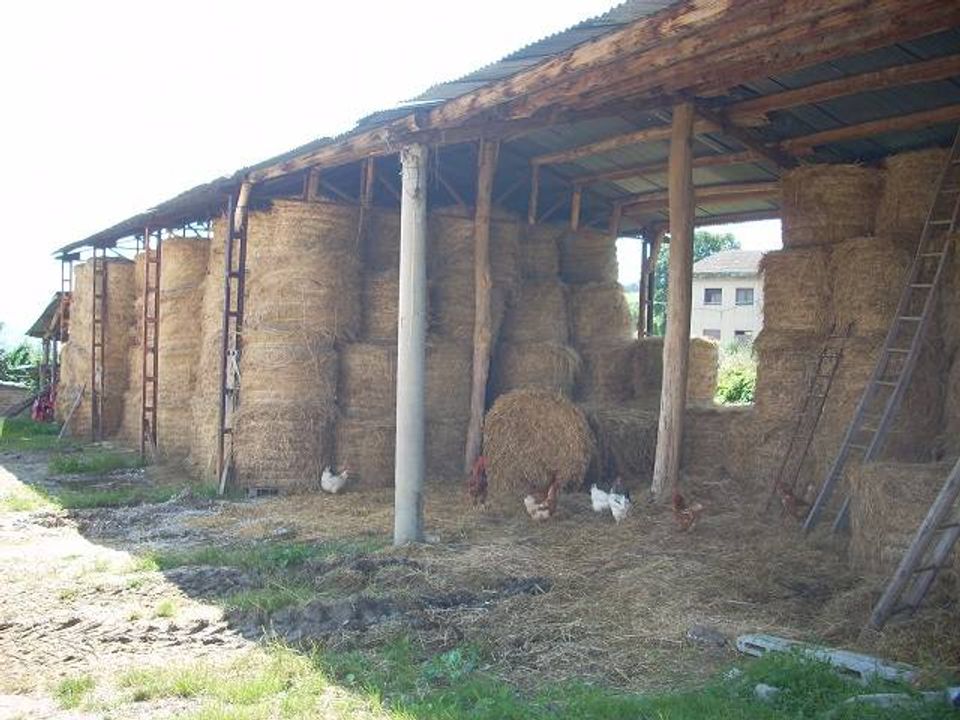 Landejendom i Campli, Teramo - foto 4