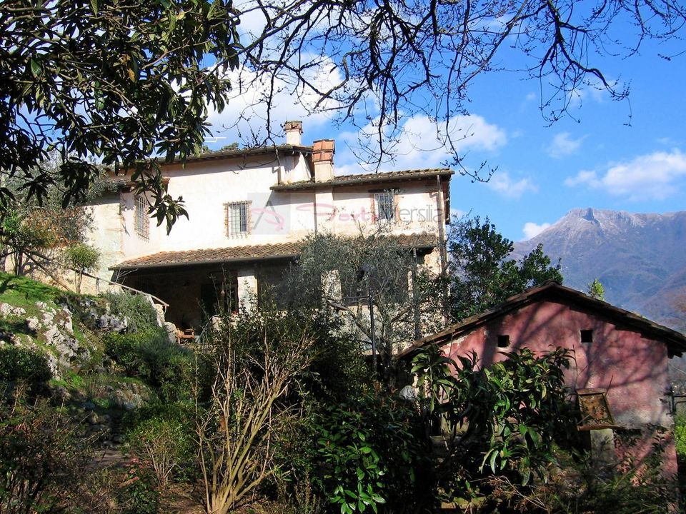 Villa i Camaiore, Lucca - foto 4