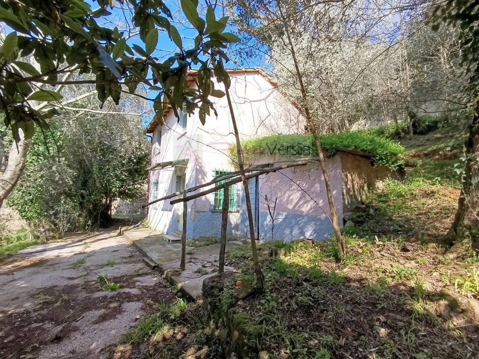 Landejendom i Pietrasanta, Lucca - foto 3