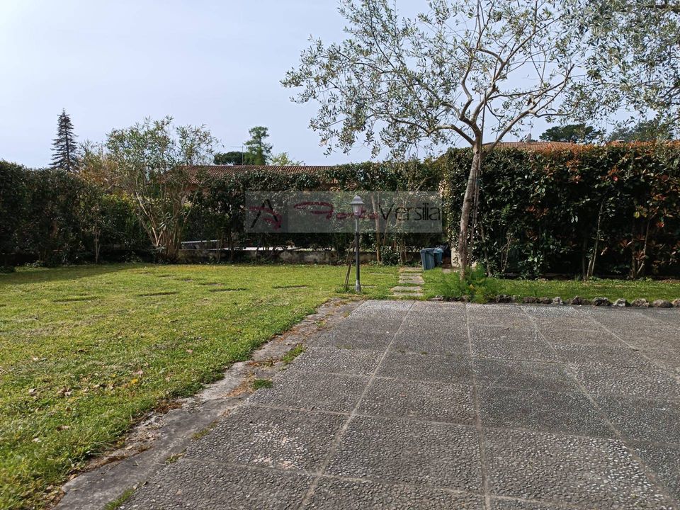 Villa i Pietrasanta, Lucca - foto 2