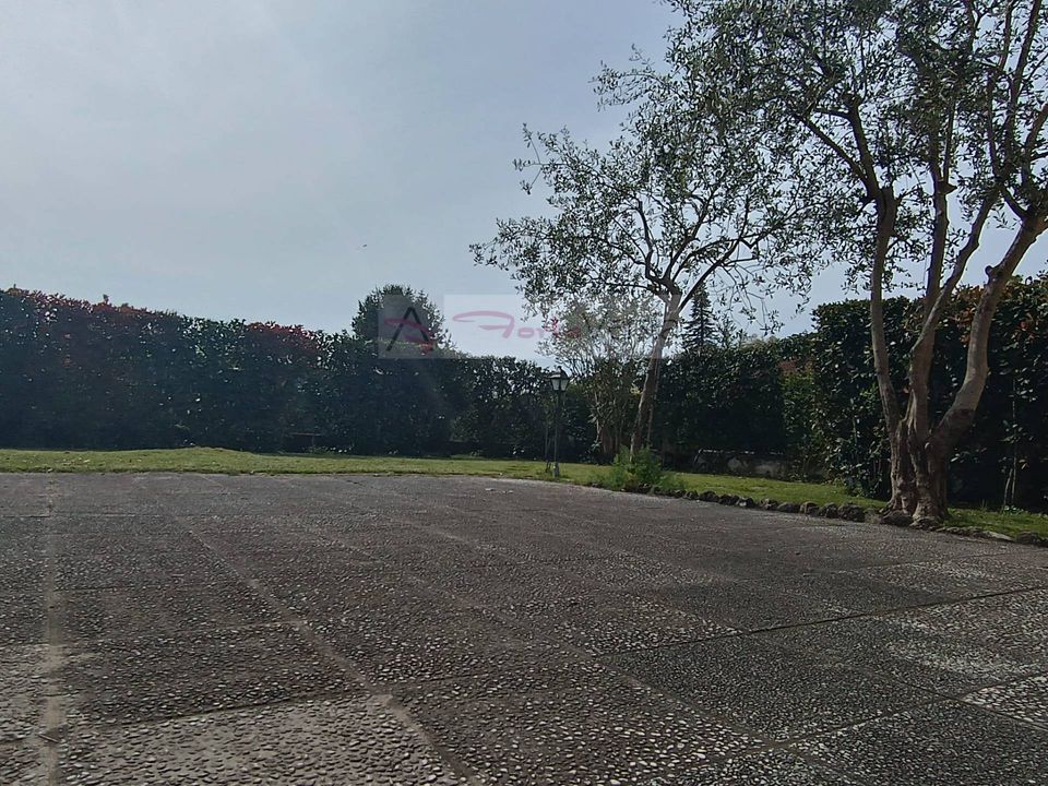 Villa i Pietrasanta, Lucca - foto 5