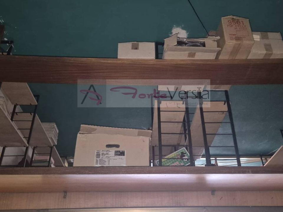 Commercial property in Massa, Massa and Carrara - photo 4
