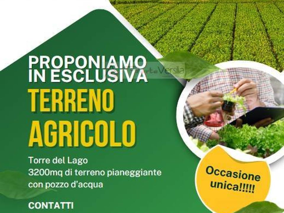 Helårsgrund i Viareggio, Lucca - foto 1