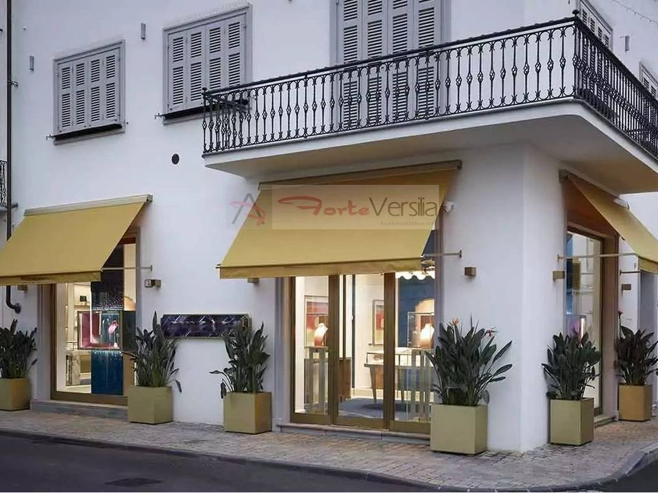 Erhvervsejendom i Forte dei Marmi, Lucca - foto 1