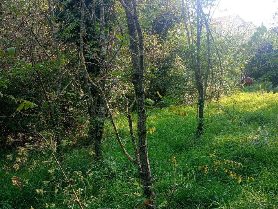 Helårsgrund i Duino-Aurisina, Trieste - foto 3