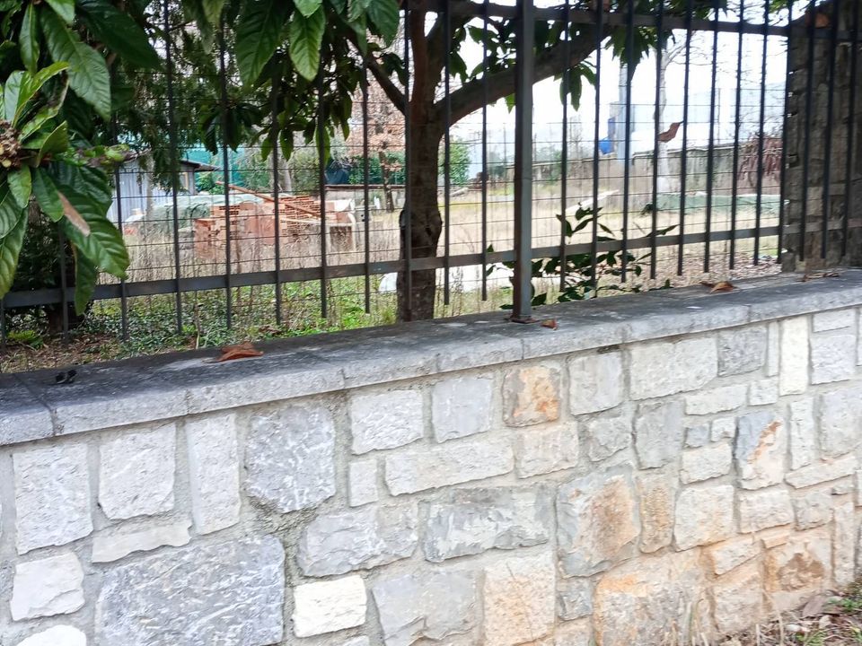 Helårsgrund i Doberdo del Lago, Gorizia - foto 2