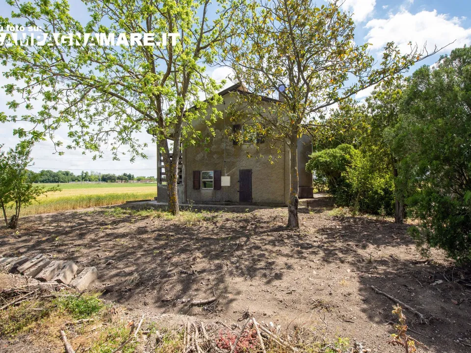 Villa a Mesola, Ferrara - foto 2