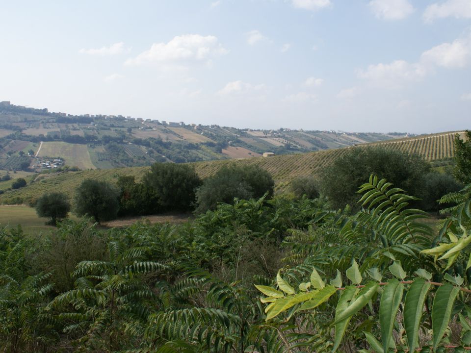 Herregård i Monteprandone, Ascoli Piceno - bilde 2