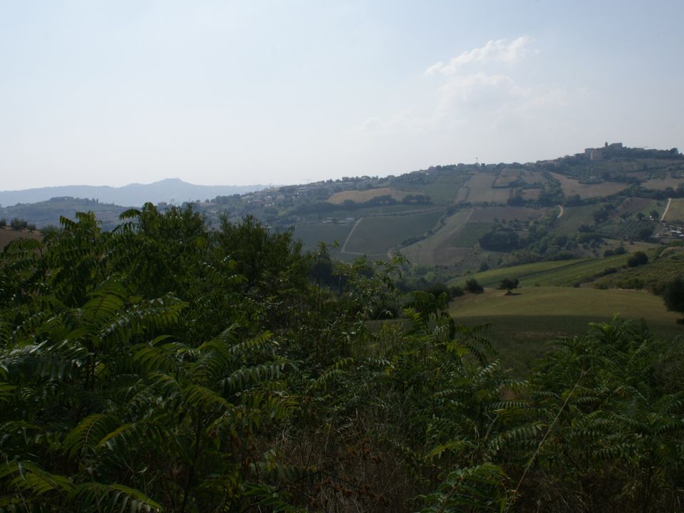 Herregård i Monteprandone, Ascoli Piceno - bilde 3