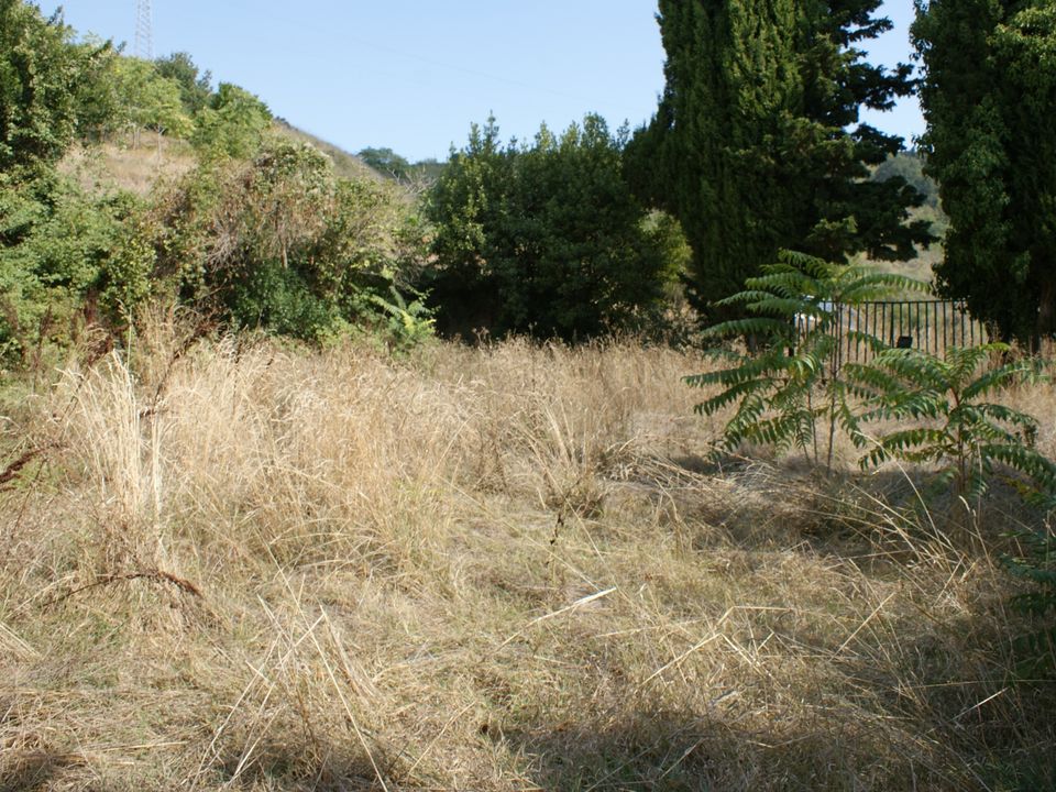 Herregård i Monteprandone, Ascoli Piceno - bilde 4