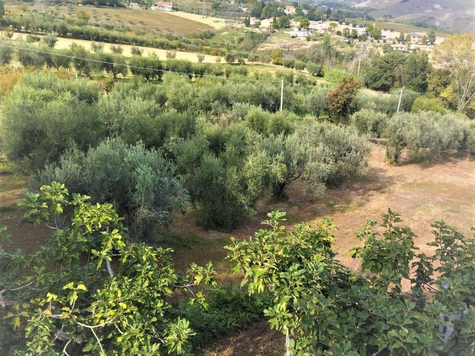 Villa i Castel Di Lama, Ascoli Piceno - foto 3