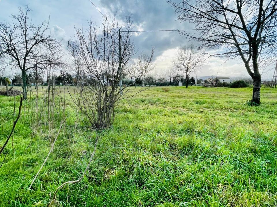Landejendom i Roccasecca, Frosinone - foto 3
