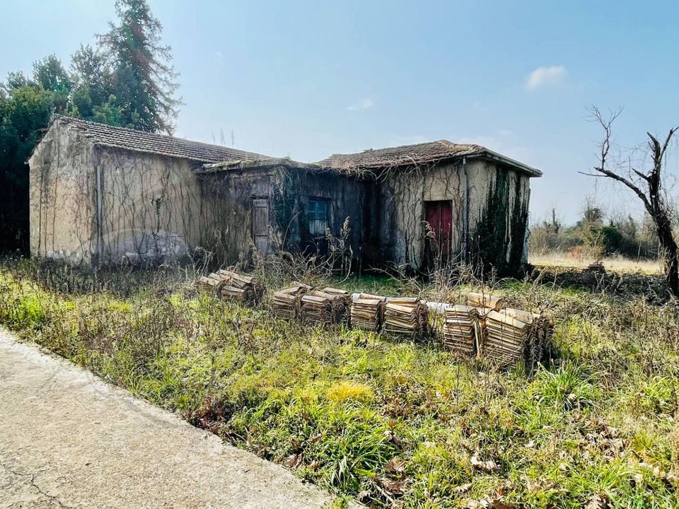 Landejendom i Arce, Frosinone - foto 4