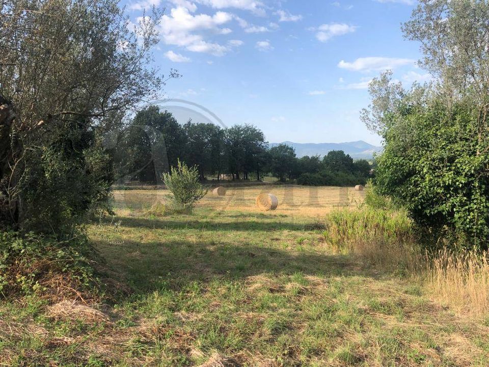Landejendom i Roccasecca, Frosinone - foto 3