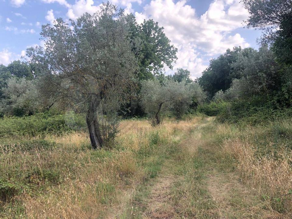 Landejendom i Roccasecca, Frosinone - foto 5