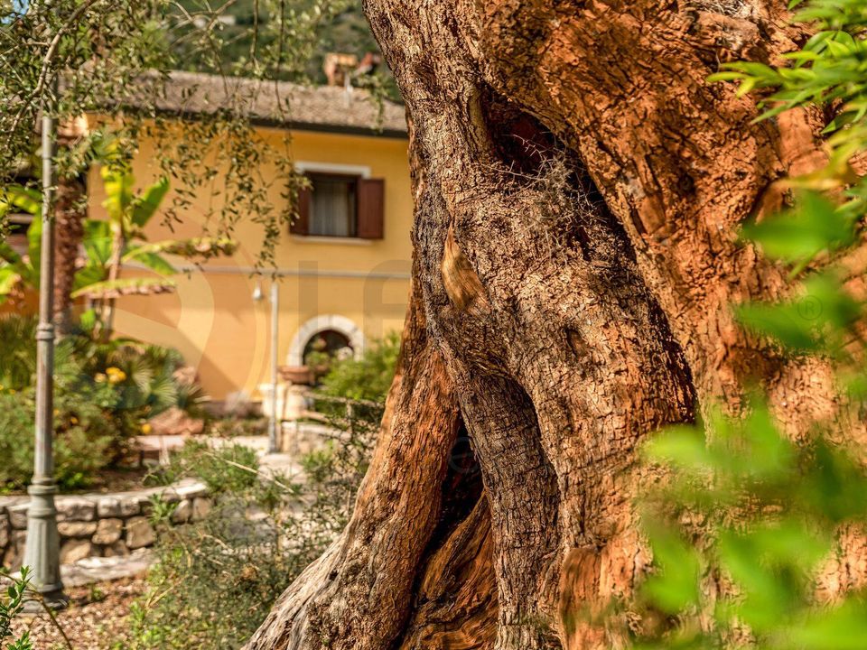 Erhvervsejendom i Castrocielo, Frosinone - foto 4