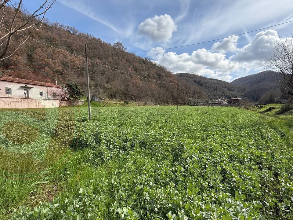 Herregård i Arpino, Frosinone - bilde 4
