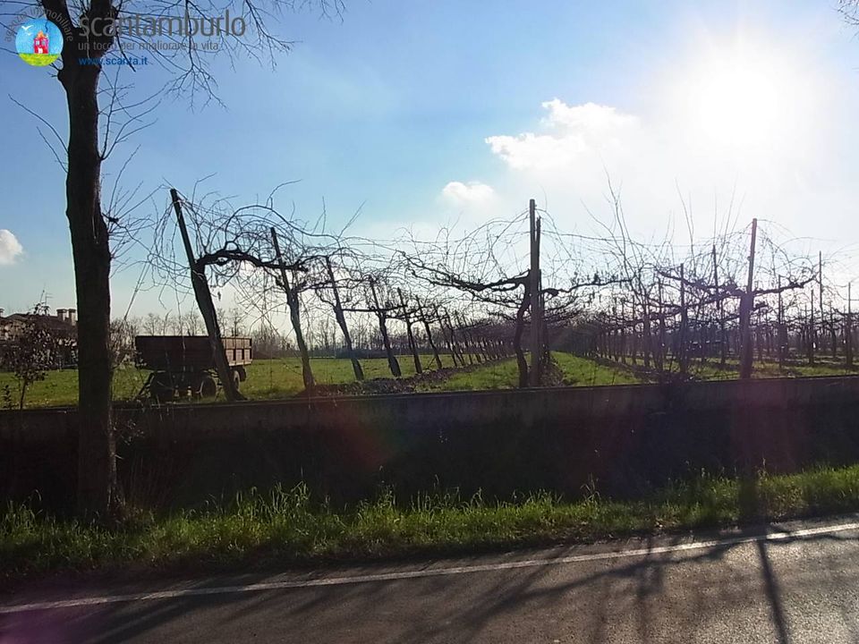 Helårsgrund i Povegliano, Treviso - foto 5