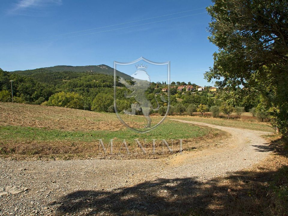 Landejendom i San Casciano dei Bagni, Siena - foto 4