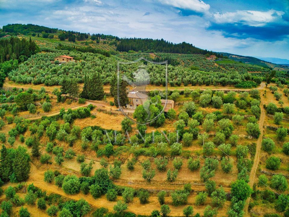 Landejendom i Greve in Chianti, Florence - foto 2