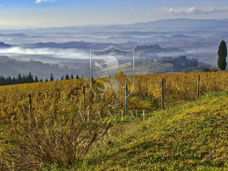 Landejendom i Certaldo, Florence - foto 1