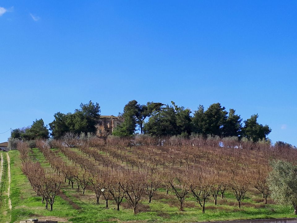 Landejendom i Appignano del Tronto, Ascoli Piceno - foto 2
