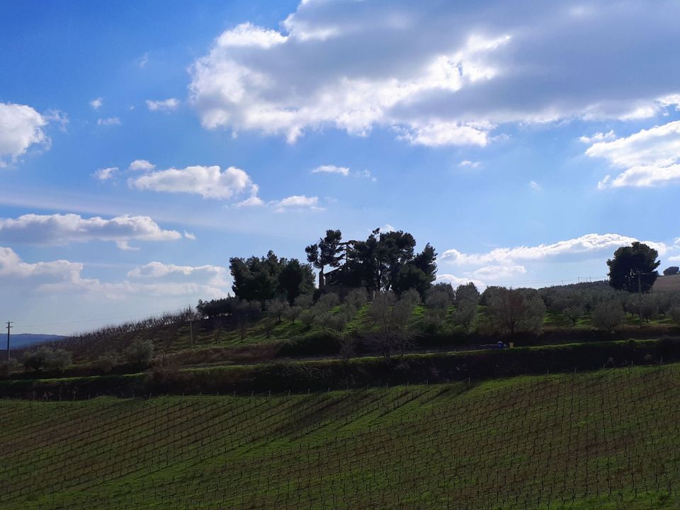 Landejendom i Appignano del Tronto, Ascoli Piceno - foto 4