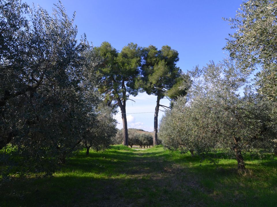 Landejendom i Appignano del Tronto, Ascoli Piceno - foto 5