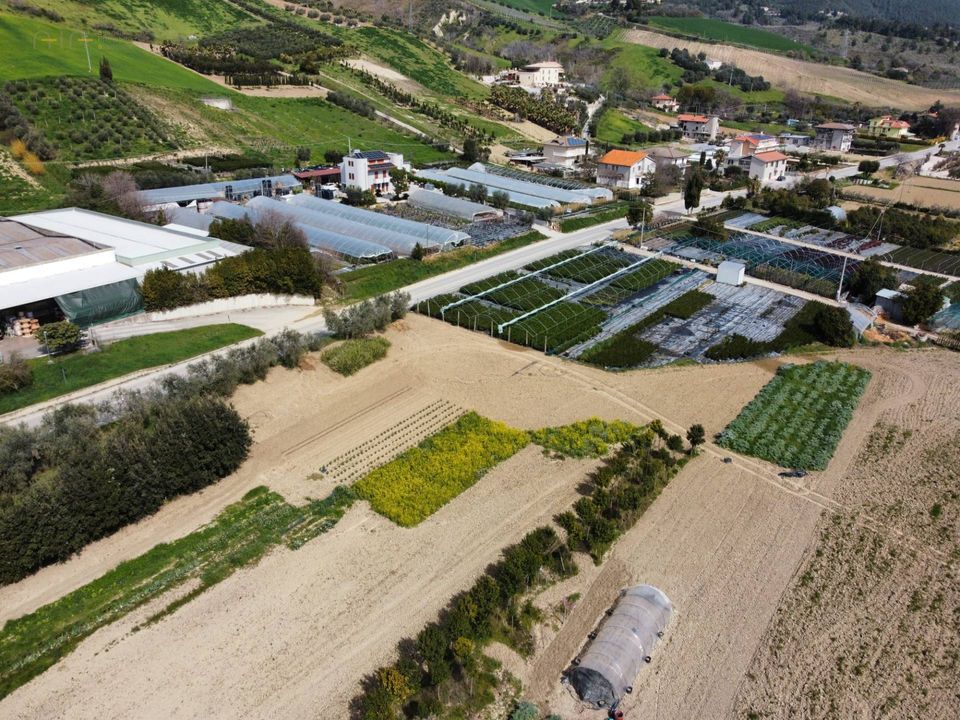 Helårsgrund i Ripatransone, Ascoli Piceno - foto 4