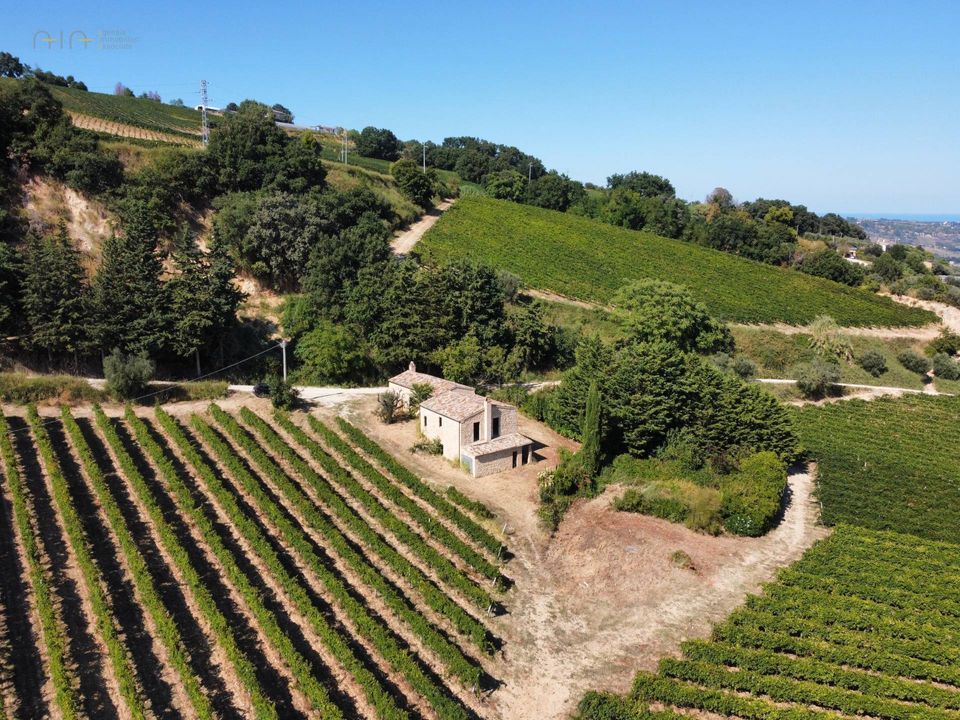 Herregård i Ripatransone, Ascoli Piceno - bilde 2