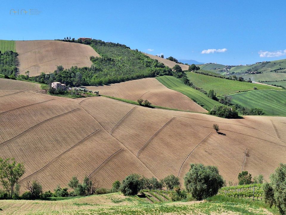 Helårsgrund i Ripatransone, Ascoli Piceno - foto 4