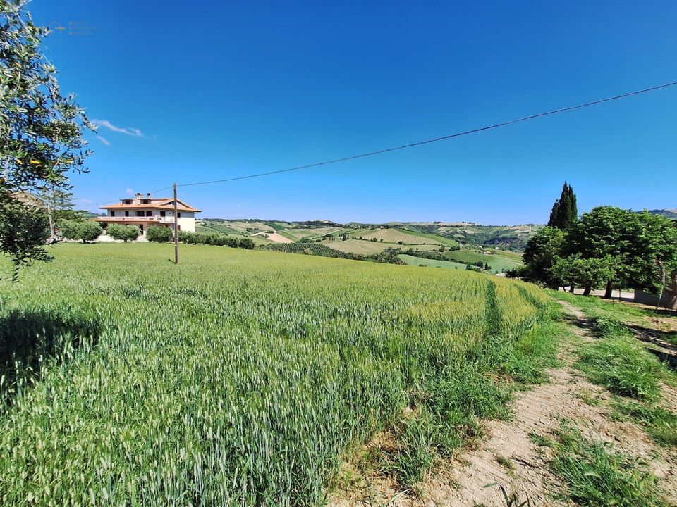 Helårsgrund i Ripatransone, Ascoli Piceno - foto 5
