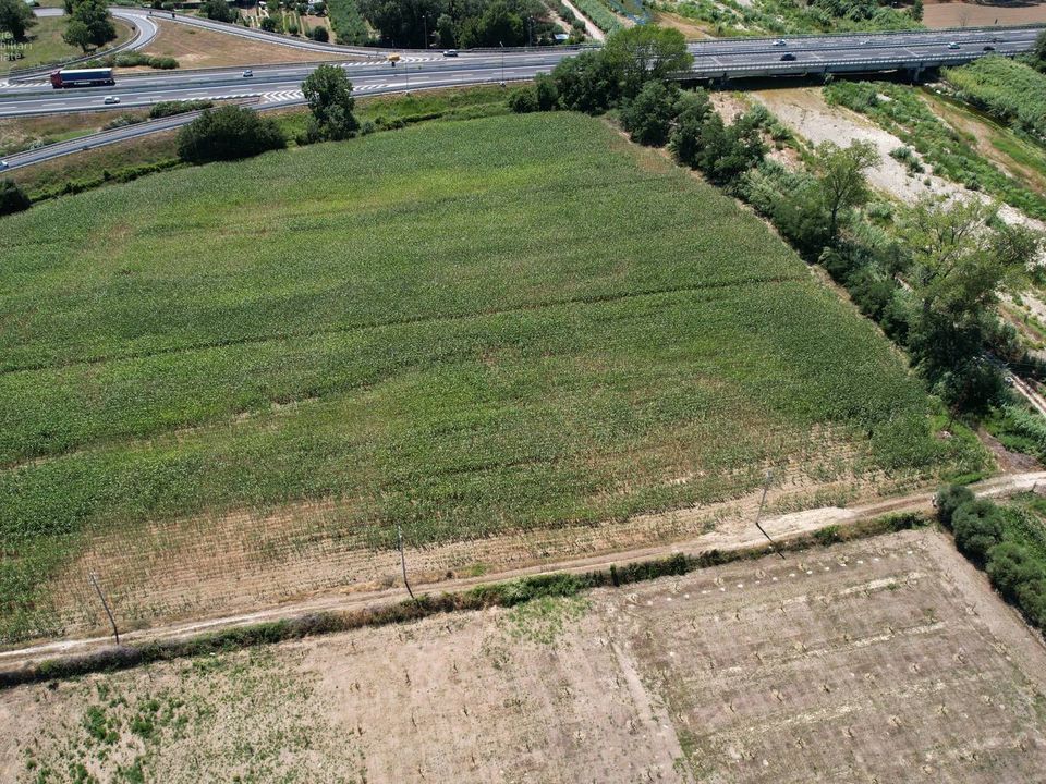 Helårsgrund i Pedaso, Fermo - foto 1