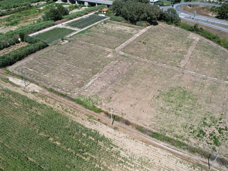 Helårsgrund i Pedaso, Fermo - foto 2