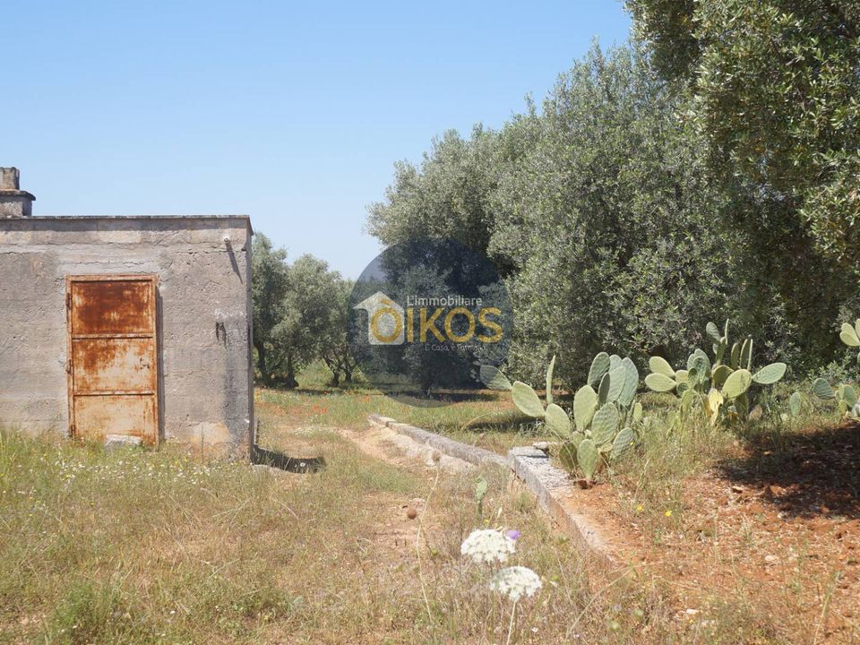 Helårsgrund i Fasano, Brindisi - foto 2