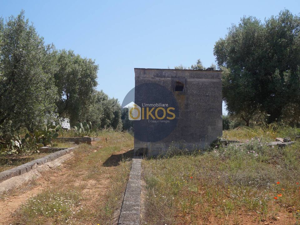 Helårsgrund i Fasano, Brindisi - foto 4