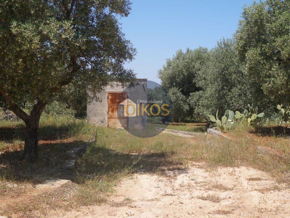 Helårsgrund i Fasano, Brindisi - foto 5