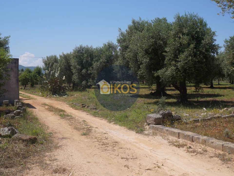 Helårsgrund i Fasano, Brindisi - foto 1