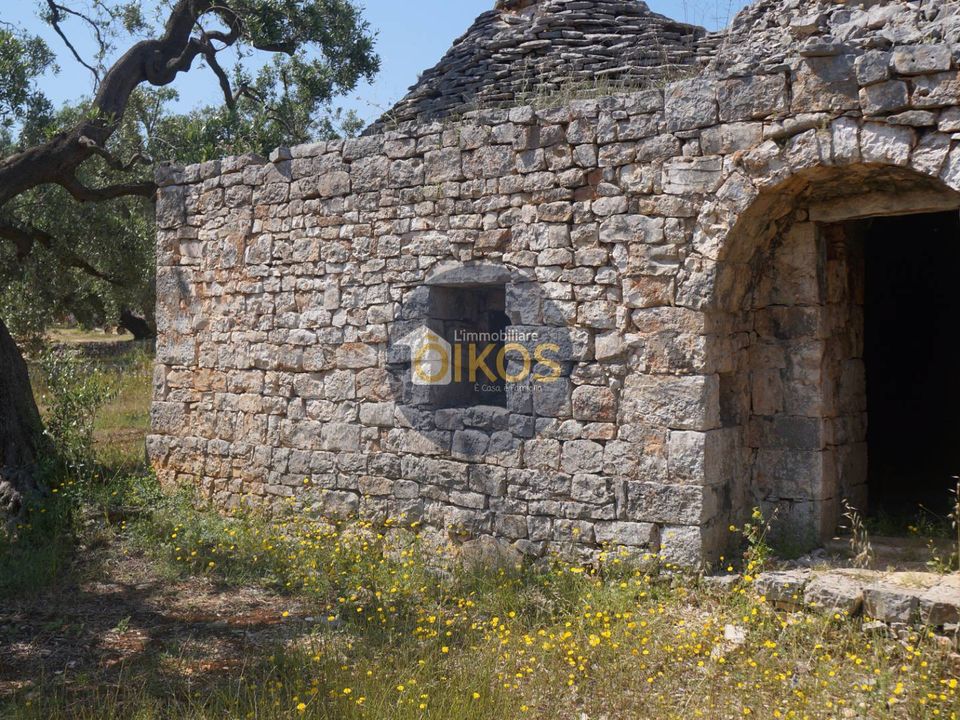 Landejendom i Fasano, Brindisi - foto 2