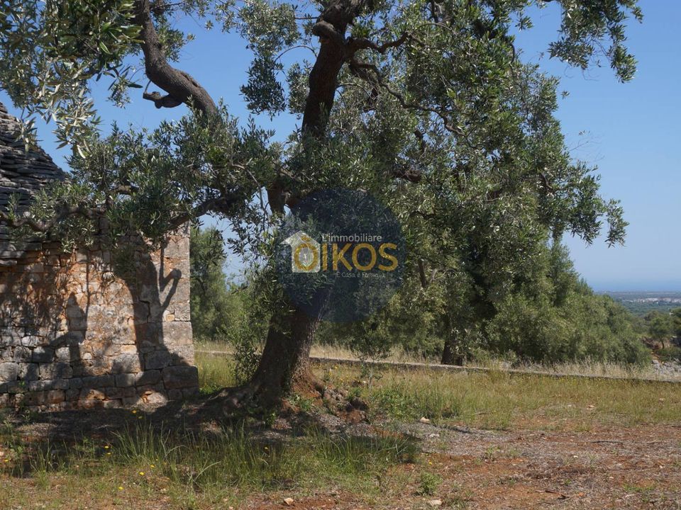 Landejendom i Fasano, Brindisi - foto 5