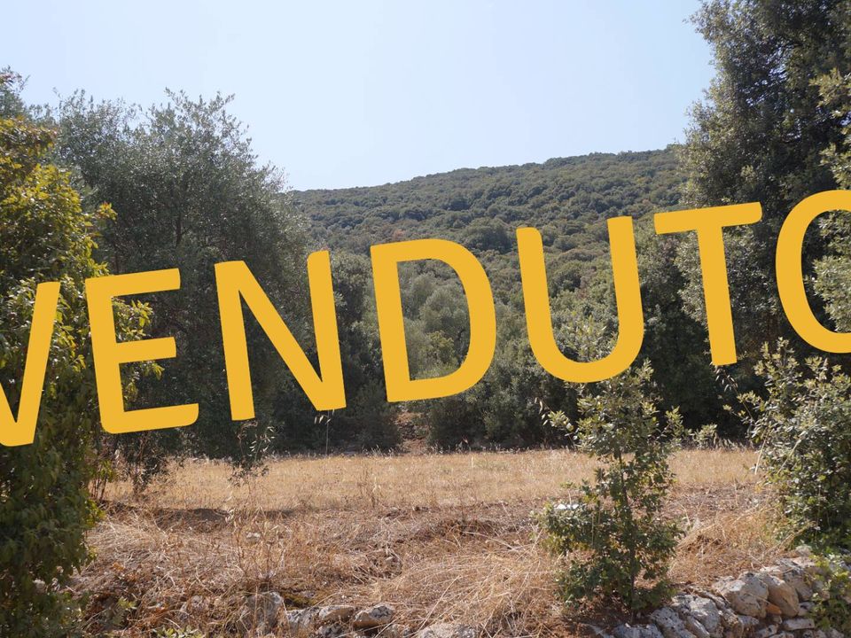 Terra em Monopoli, Bari - foto 1