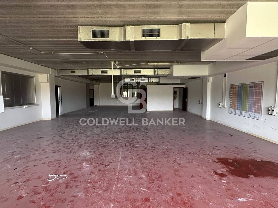 L'establiment comercial a Formello, Rome - foto 3