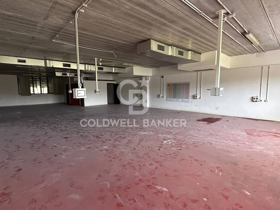 L'establiment comercial a Formello, Rome - foto 4