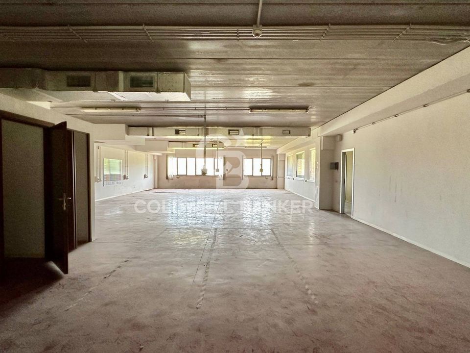 L'establiment comercial a Formello, Rome - foto 5