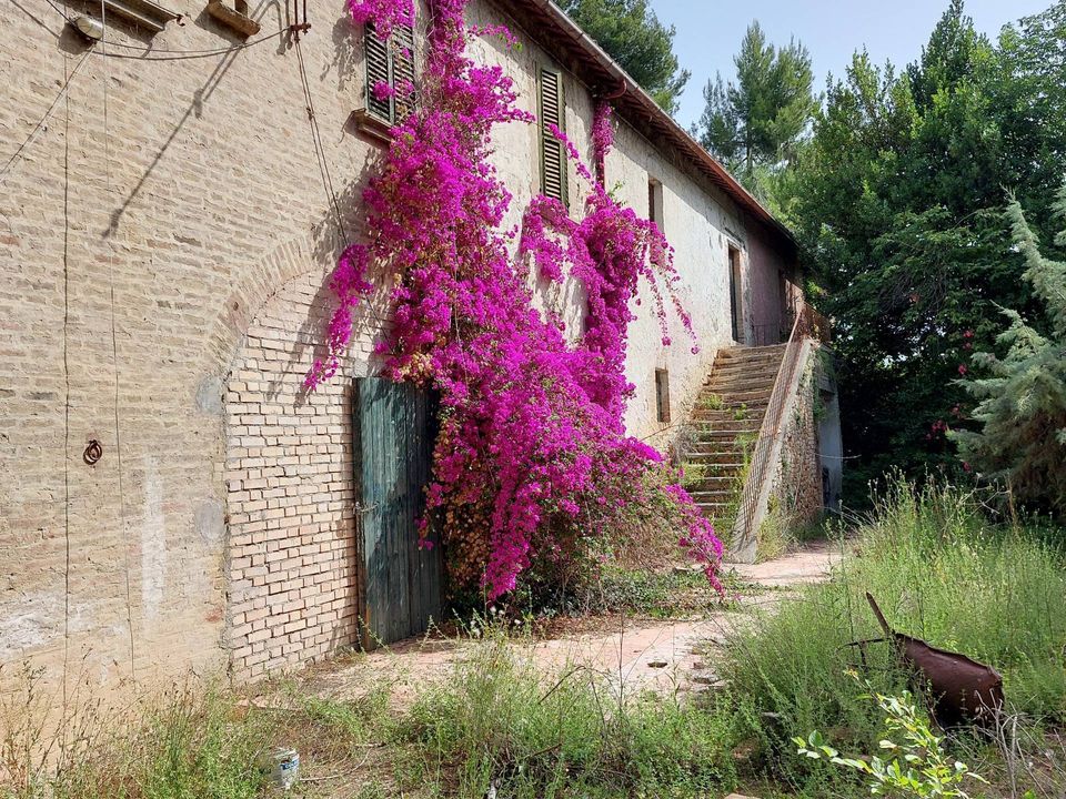 Villa i Spinetoli, Ascoli Piceno - foto 2
