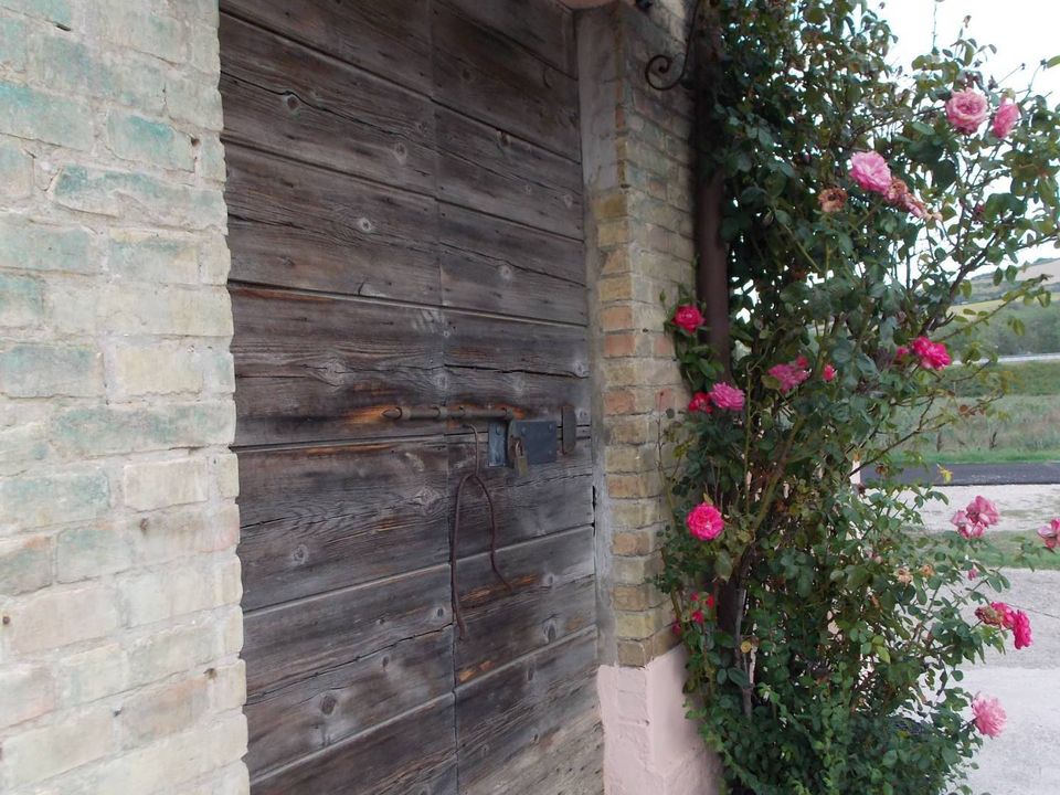 Villa i Colli del Tronto, Ascoli Piceno - foto 4