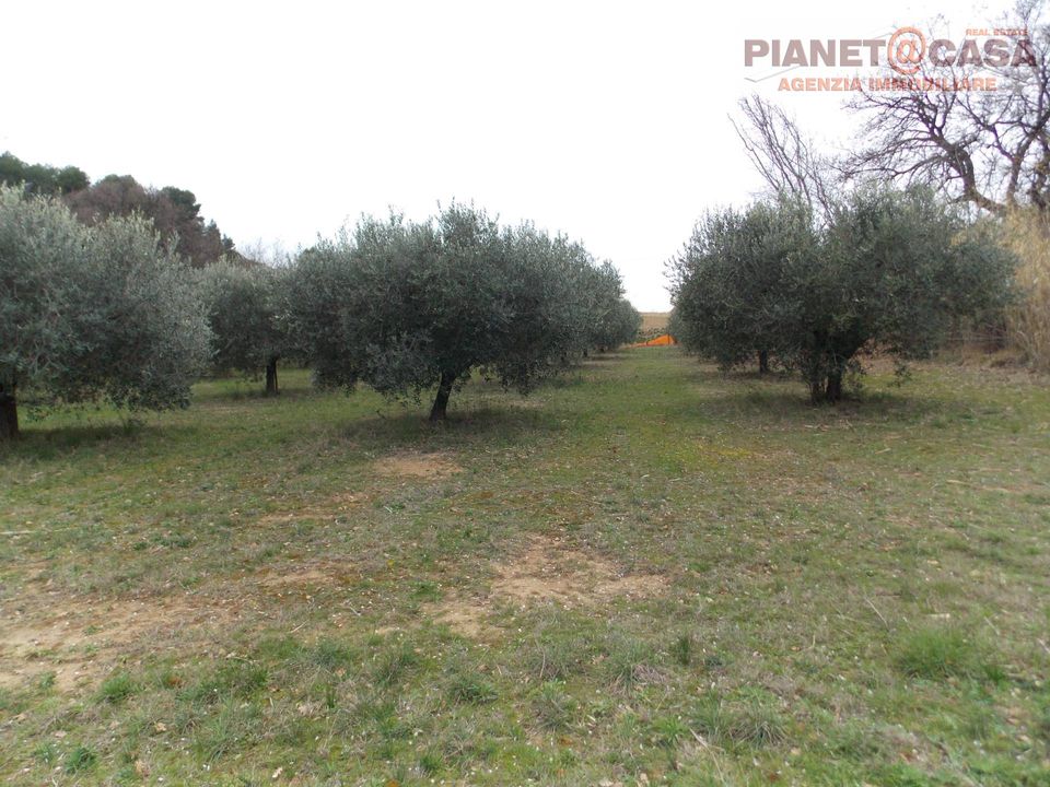 Helårsgrund i San Benedetto Del Tronto, Ascoli Piceno - foto 1